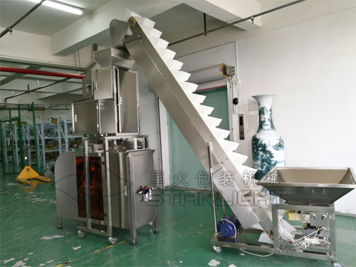 袋裝鍋巴顆粒包裝機(jī)設(shè)備