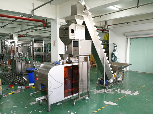 星火全自動(dòng)堅(jiān)果顆粒包裝機(jī)械設(shè)備