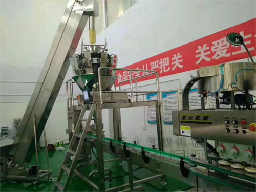 星火枸杞食品顆粒包裝機(jī)設(shè)備