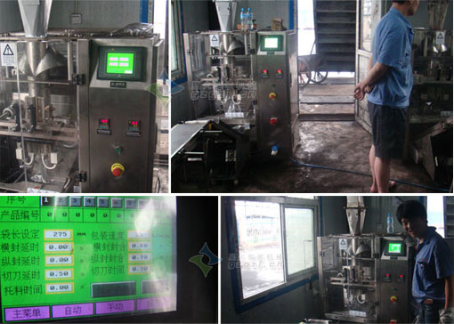 泰州顆粒包裝機(jī)